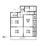 グランデ新形 313 [63209249] 画像1