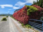 南東道路
